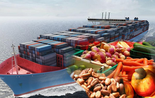 Non-Oil Export