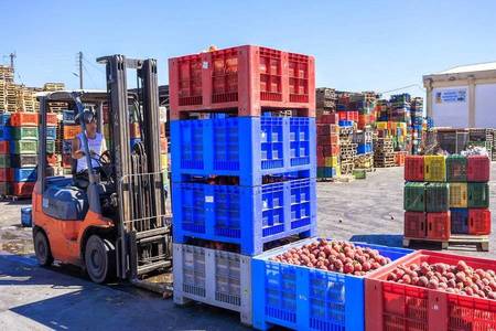 Agricultural Export